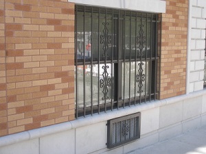 window security guard steel