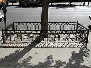 steel-tree-pit-guard