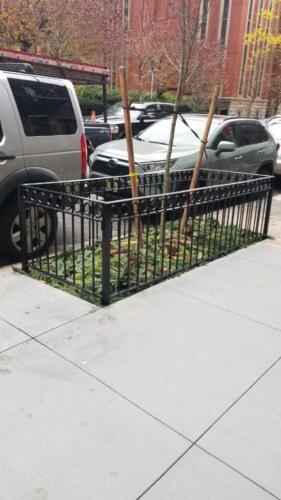 Metal tree pit